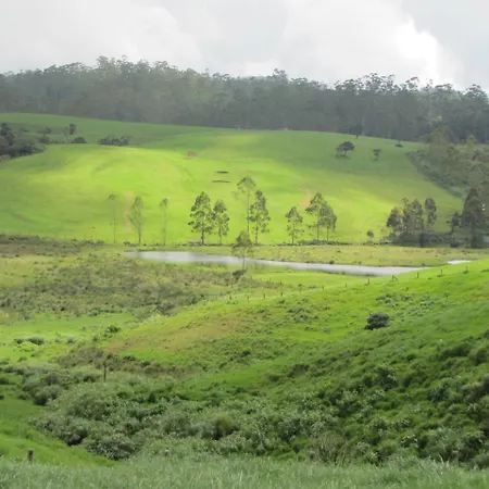 Shinic Nuwara Eliya