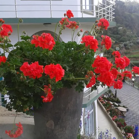 Qantara 4* Nuwara Eliya