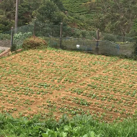 Italy Bungalow Nuwara Eliya