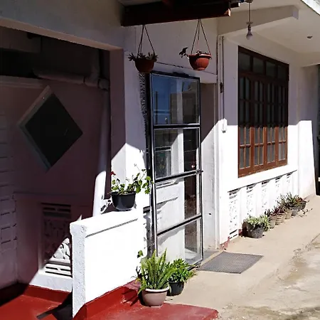 View Homestay *