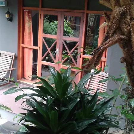 King Fern * Nuwara Eliya