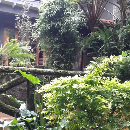 Guest house King Fern Nuwara Eliya