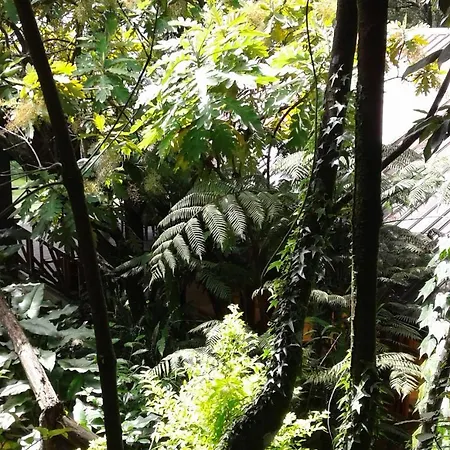 King Fern Guest house Nuwara Eliya