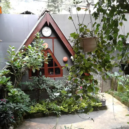 King Fern Guest house