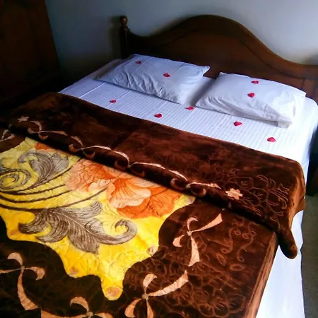Mountain View Homestay *