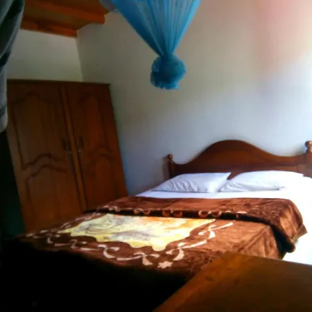 Homestay Mountain View