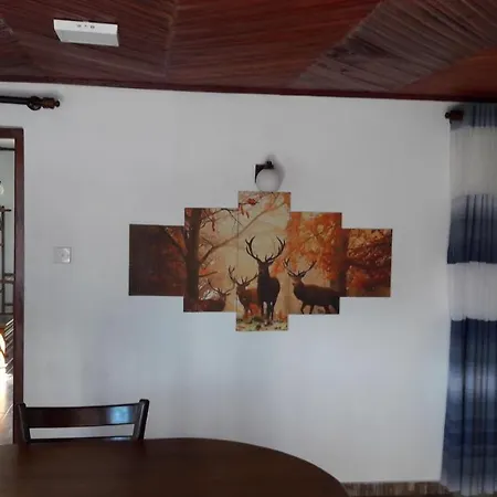 B&B Nuwara Eliya