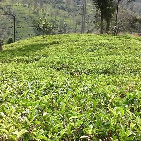 Nirvana Retreat Nuwara Eliya