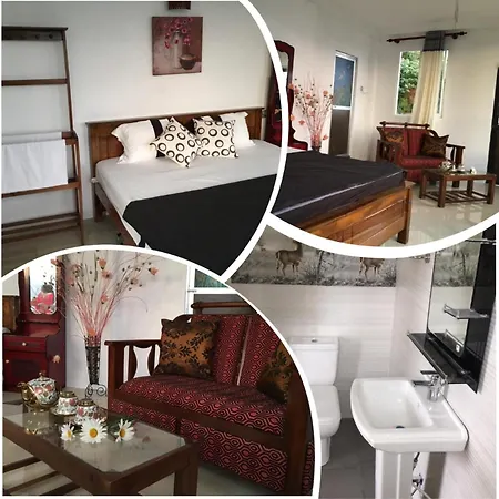 Golden King Guest 3* Nuwara Eliya