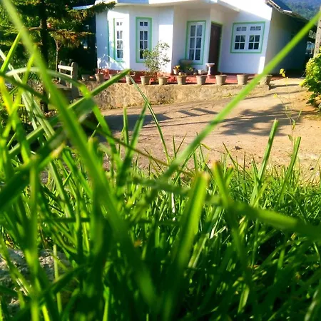 Homestay Mountain View *
