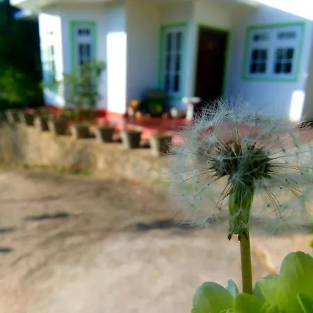Homestay Mountain View *