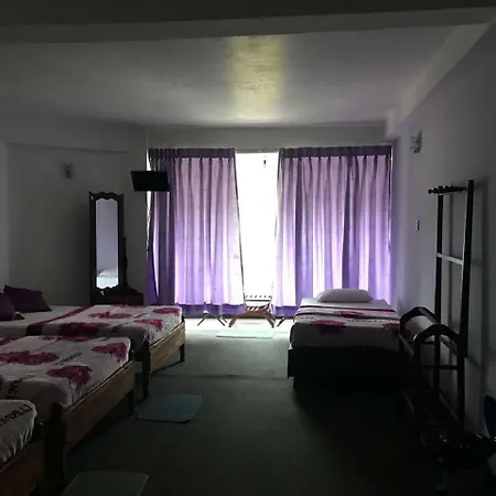 Vindiv 3*