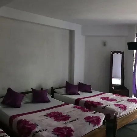 Hotel Vindiv