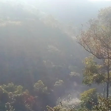 Gregory 3* Nuwara Eliya