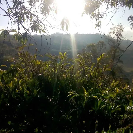 Guest house Gregory Nuwara Eliya