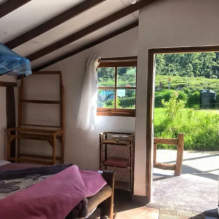 Villa The Paul Wood Cabana