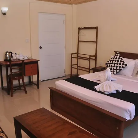 The Mountain Guest house 3*