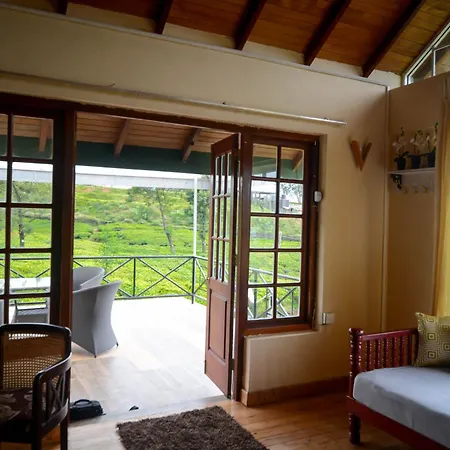 The Tea Garden * Nuwara Eliya