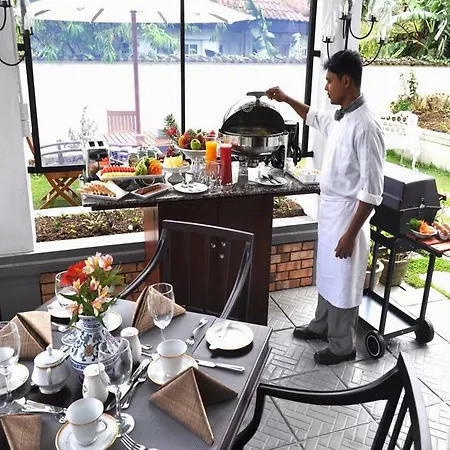 Guest house Cocoon Hills 4*