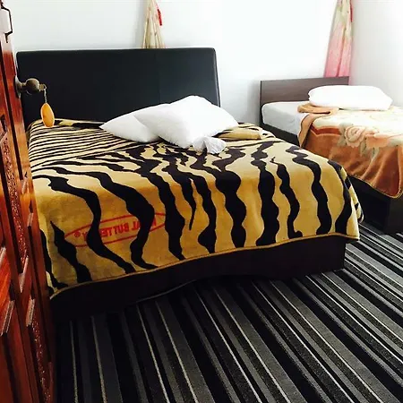 Roshan Hotel 3*