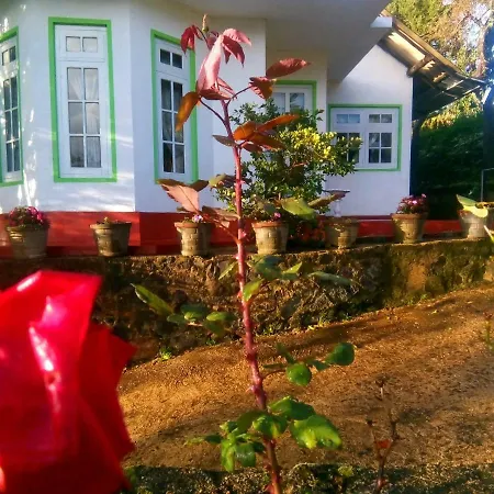 Homestay Mountain View