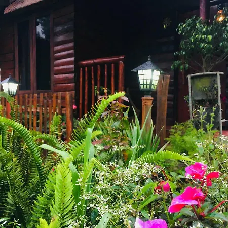 Redwood Hollow Chalet