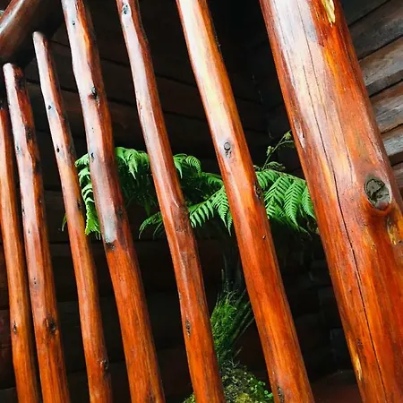 Redwood Hollow Nuwara Eliya