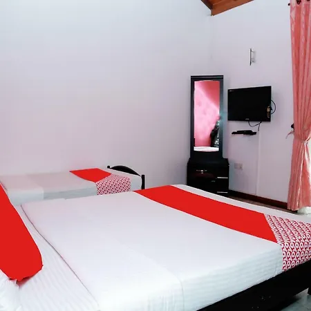 Oyo 247 Olive Park Hotel