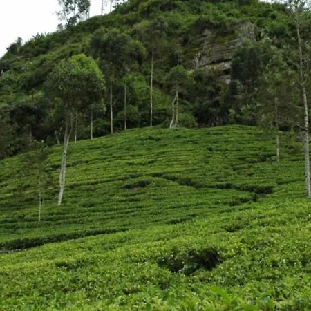 42 3* Nuwara Eliya