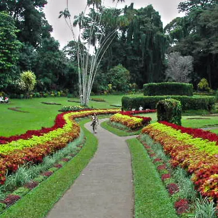 Hotel 42 Nuwara Eliya
