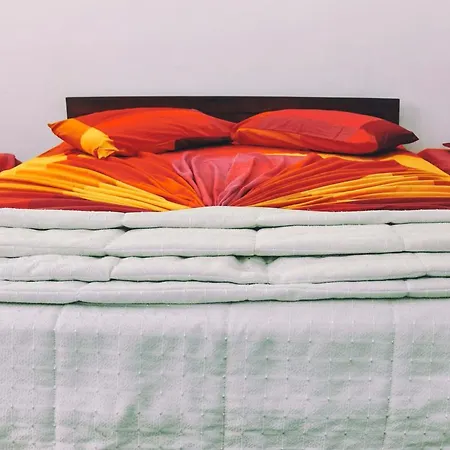 Vishmi's Rest