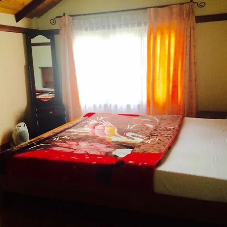 Holiday home Yoho Yenisey View