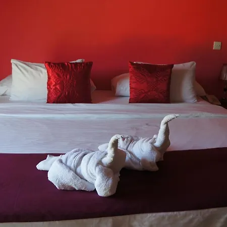 Hotel Midky 3*