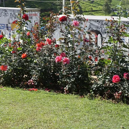 Midky 3* Nuwara Eliya