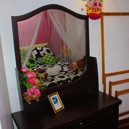 Haven & Guest house