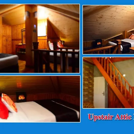 Majestic Luxury - Seagull Nuwara Eliya