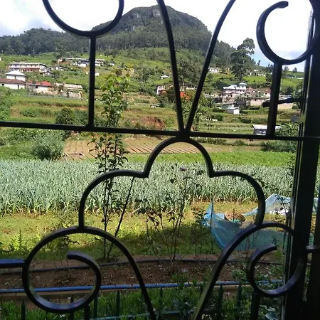 Homestay Avon Field