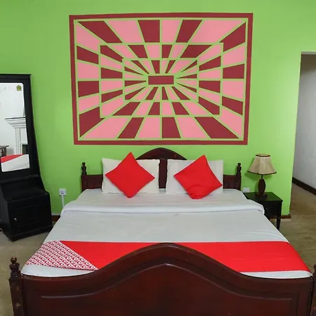 Hotel Green Forest 3*