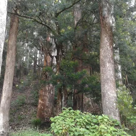 Woods Hut Homestay Nuwara Eliya