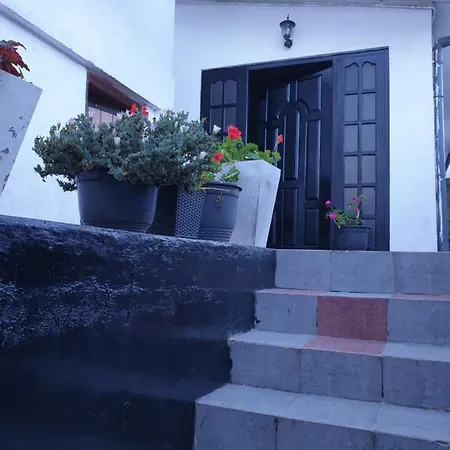 Guest house 234