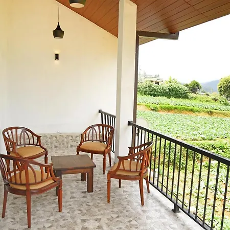 Hotel Ivy Bungalow