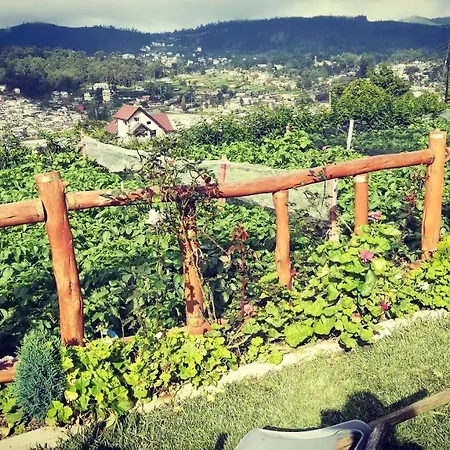 Hotel Lover's Leap Private Bungalow