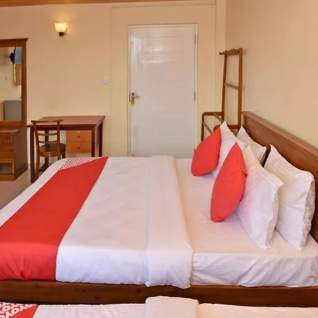Hotel Oyo 487 Sudha Ozone Freeze 3*