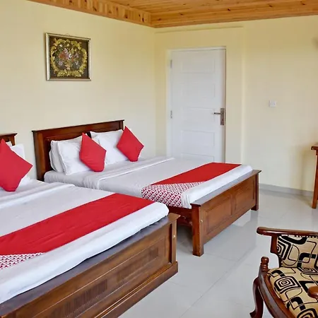 Oyo 487 Sudha Ozone Freeze Hotel