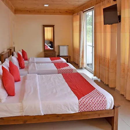 Oyo 487 Sudha Ozone Freeze Hotel 3*