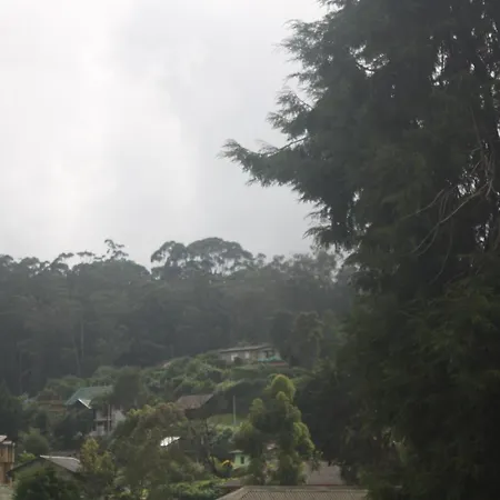 Homestay Dream Hill *