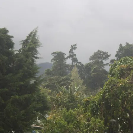 Homestay Dream Hill *
