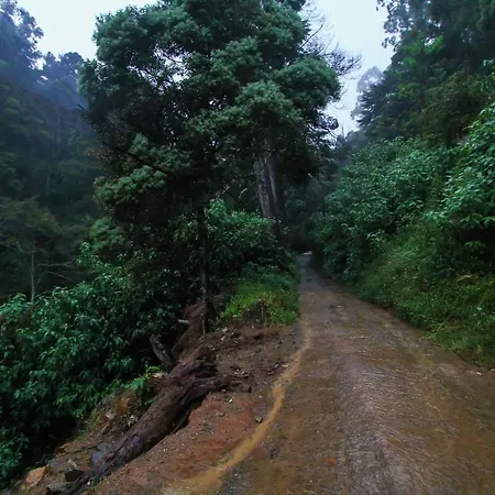 Oyo 503 Forest View Rest Hotel 3*