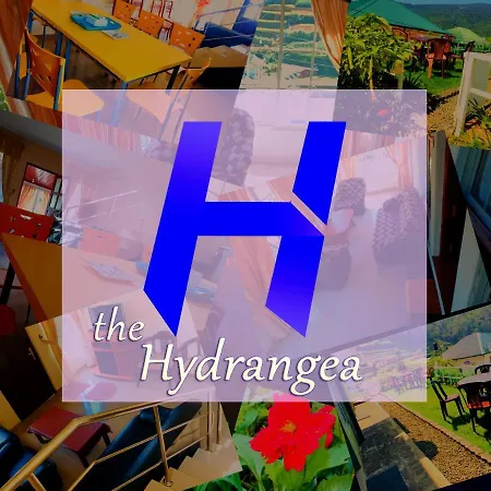 Hydrangea Guest house *