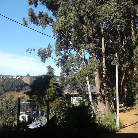 Woods Hut Homestay